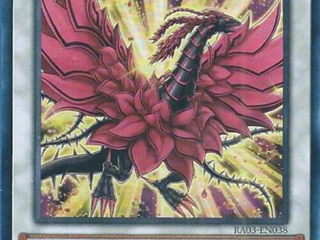 Black Rose Moonlight Dragon [RA03-EN038] Super Rare on Sale